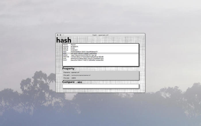 Hash Hash